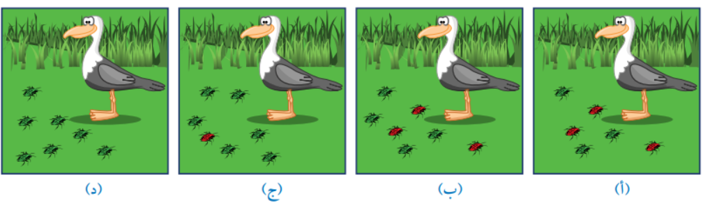 جماعة من الخنافس في بقعةٍ من الأرض جماعة من الخنافس في بقعةٍ من الأرض